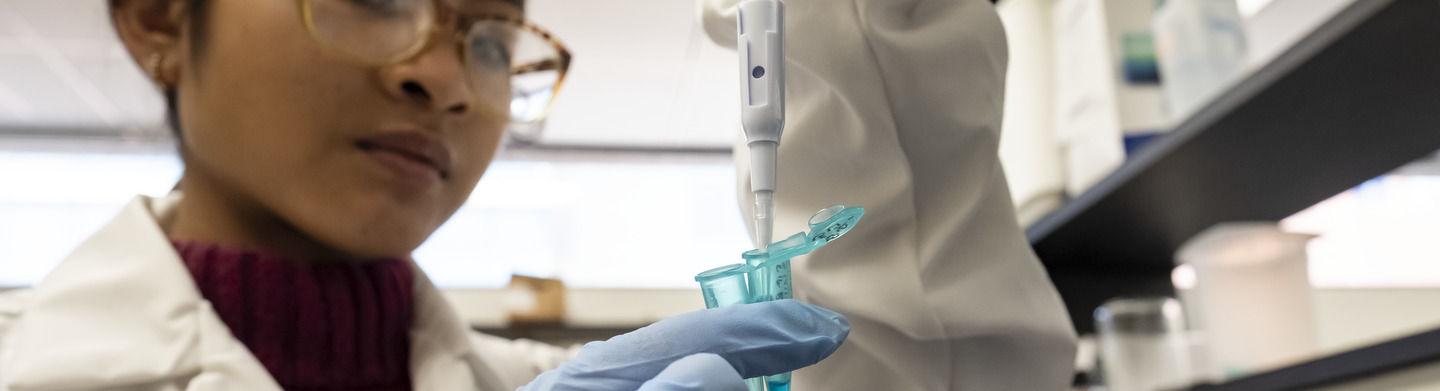 一名戴着手套的学生在实验室工作时将液体注射到蓝色试管中.